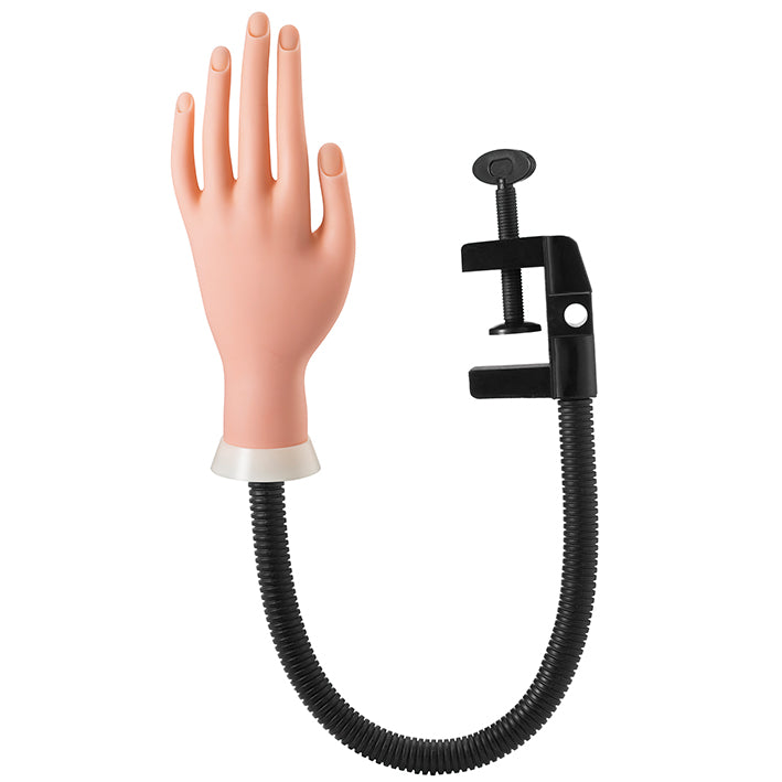 MANO PRÁCTICAS MANICURA CON SOPORTE POLLIE